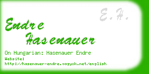 endre hasenauer business card